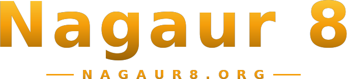 Nagaur 8 logo